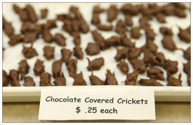 197683d1381786653-club-q-q107-loyalty-club-southern-only-v4-chocolate-covered-insects.jpg