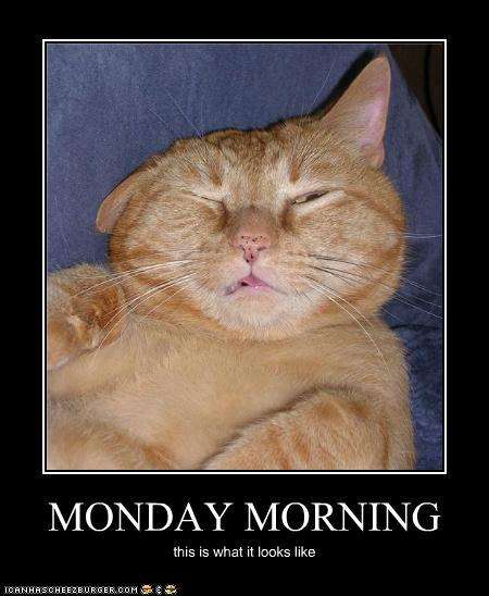 funny monday morning quotes. monday quotes funny. funny