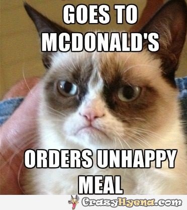 165004d1361841260-few-lols-you-grumpy-cat-orders-unhappy-meal-mcdonalds-meme-image.jpg