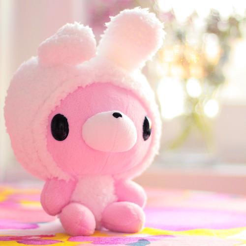 pink rabbit teddy