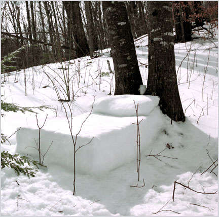 Name:  Snow bed.jpg
Views: 235
Size:  35.5 KB