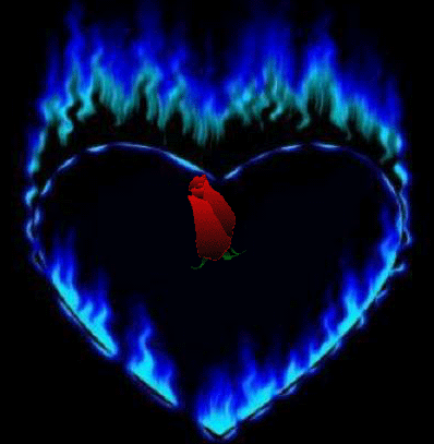 Name:  blue-heart-red-rose.gif
Views: 1014
Size:  93.7 KB