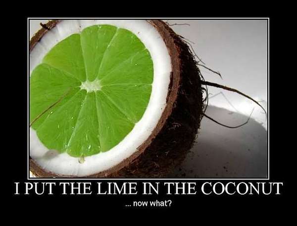 Name:  Lime_Coconut.jpg
Views: 175
Size:  29.0 KB