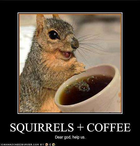 Name:  funny-pictures-squirrels-have-discovered-coffee.jpg
Views: 671
Size:  27.2 KB