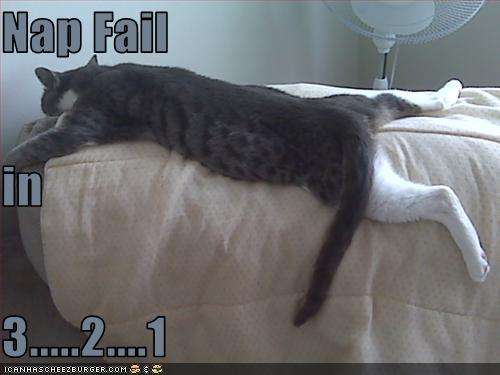 Name:  funny-pictures-cat-is-about-to-have-a-nap-fail.jpg
Views: 381
Size:  20.0 KB