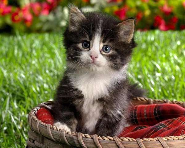 Name:  1928298gdwn5pef7b.jpg
Views: 259
Size:  41.9 KB