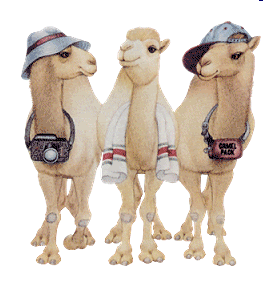 Name:  hump.gif
Views: 188
Size:  62.8 KB