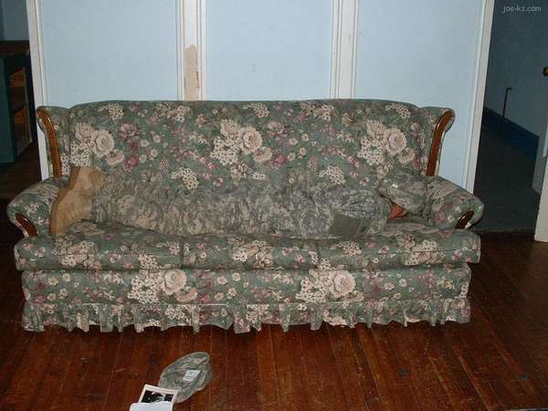 Name:  CamouflageCouch.jpg
Views: 267
Size:  36.2 KB