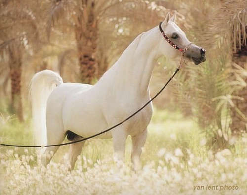 Name:  7.jpg
Views: 199
Size:  23.5 KB