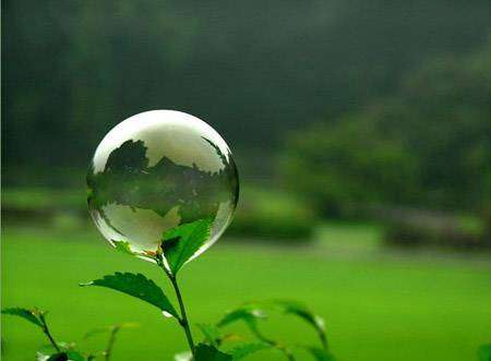 Name:  8.jpg
Views: 216
Size:  10.6 KB