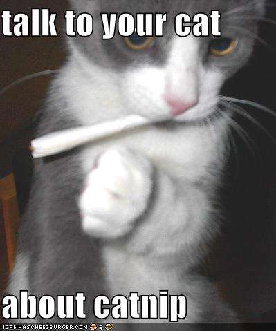 Name:  funny-pictures-cat-smokes-catnip.jpg
Views: 130
Size:  21.5 KB