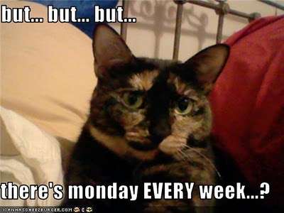 Name:  funny-pictures-cat-hates-monday[1].jpg
Views: 177
Size:  15.7 KB