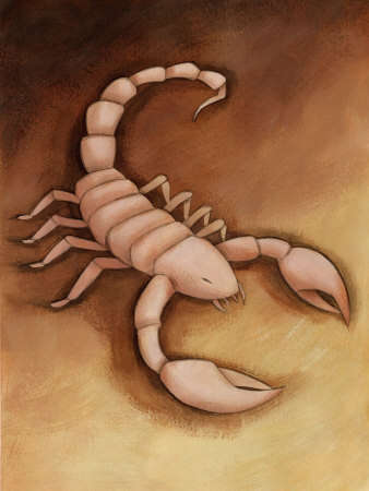 Name:  scorpion[1].jpg
Views: 189
Size:  15.5 KB