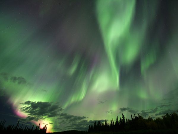 Name:  canada-aurora-borealis_9142_600x450[1].jpg
Views: 221
Size:  22.7 KB