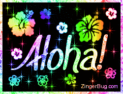 Name:  aloha_rainbow_stars.gif
Views: 261
Size:  45.9 KB