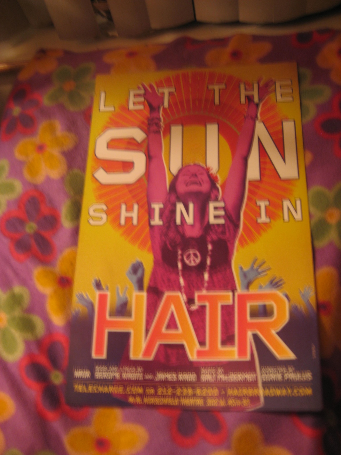 Name:  HAIR 2011.jpg
Views: 523
Size:  388.0 KB