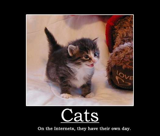 Name:  caturday6.jpg
Views: 164
Size:  45.4 KB