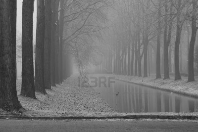 Name:  4362103-foggy-morning-in-a-winter-day-black-and-white-tones-selective-focus.jpg
Views: 147
Size:  23.6 KB