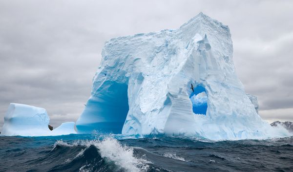 Name:  south-georgia-island-iceberg_40863_600x450[1].jpg
Views: 1501
Size:  30.2 KB