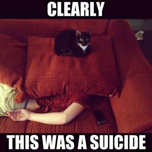 Name:  photos_are_always_funnier_when_you_add_a_caption_640_15.jpg
Views: 247
Size:  38.6 KB