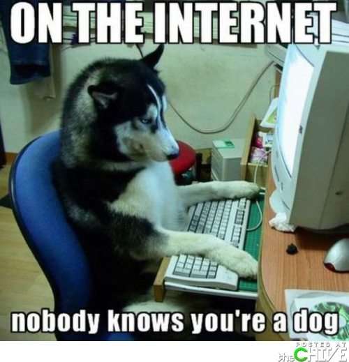 Name:  funny-captions-10-captions-making-funny-photos-funnier-since-1998-25-photos-0f1adeb7-sz500x519-a.jpg
Views: 63379
Size:  29.5 KB