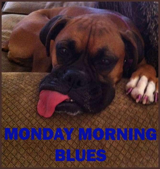 Name:  Monday-Morning-Blues.jpg
Views: 181
Size:  53.3 KB