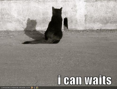 Name:  funny-pictures-cat-waits-outside-of-mousehole-373x285.png
Views: 192
Size:  148.6 KB