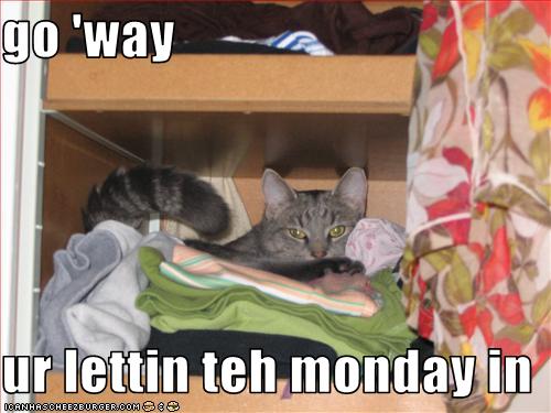 Name:  funny-pictures-cat-says-you-are-letting-the-monday-in.jpg
Views: 328
Size:  35.4 KB