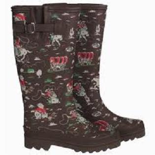 Name:  Boots for Spring.jpg
Views: 206
Size:  14.4 KB