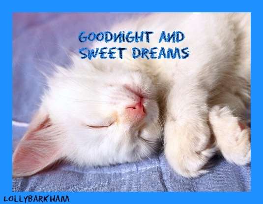 Name:  sweet-dreams-kitten-dreams-6376840-535-414.jpg
Views: 257
Size:  24.4 KB