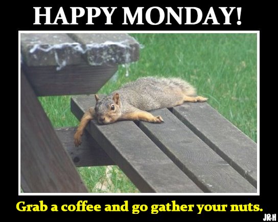 Name:  squirrel_happy_monday.jpg
Views: 265
Size:  48.0 KB