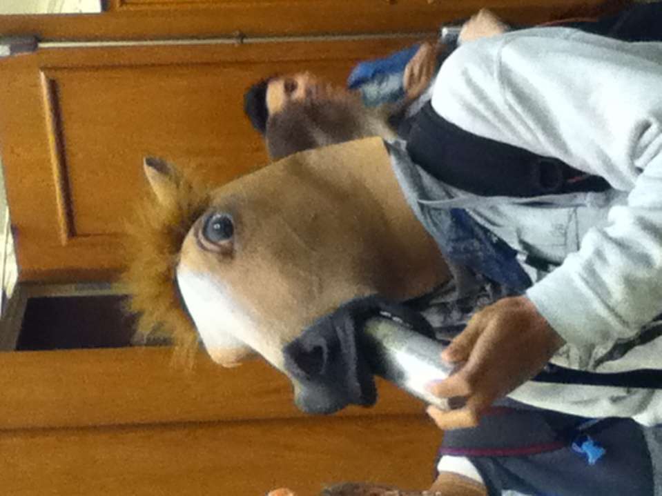 Name:  redbull horse.jpg
Views: 401
Size:  51.3 KB