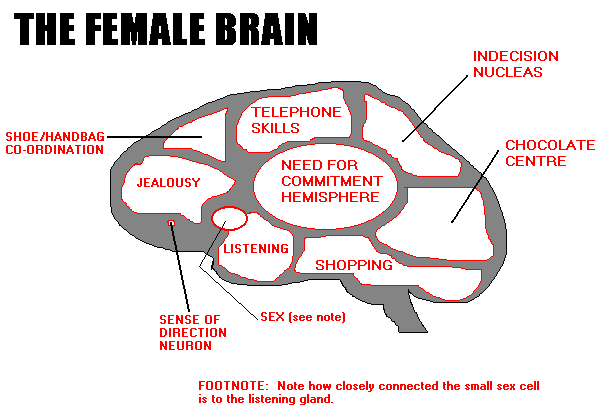 Name:  female_brain.gif
Views: 238
Size:  9.1 KB