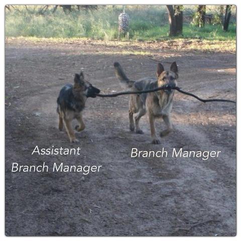 Name:  BRANCH MANAGER.jpg
Views: 195
Size:  43.0 KB