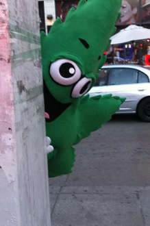 Name:  the-herb.jpg
Views: 162
Size:  26.2 KB