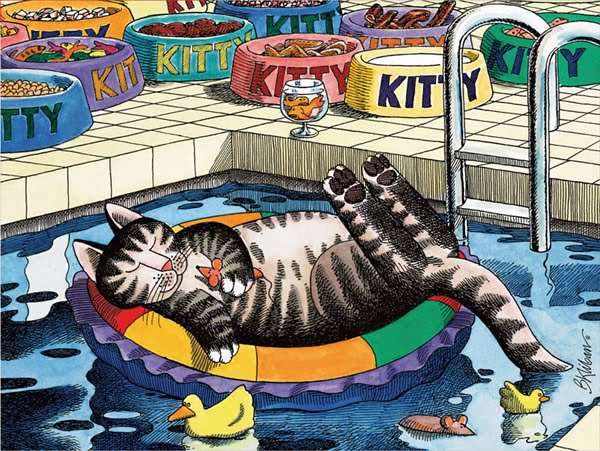 Name:  Kliban pool cat.jpg
Views: 894
Size:  69.9 KB