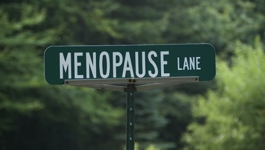 Name:  menopause.jpg
Views: 420
Size:  40.5 KB