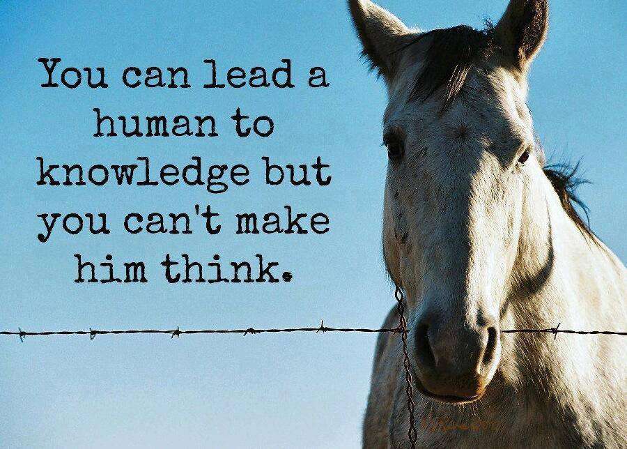 Name:  Human to Knowledge.jpg
Views: 232
Size:  95.8 KB