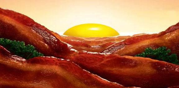 Name:  Bacon-Morning.jpg
Views: 164
Size:  24.8 KB