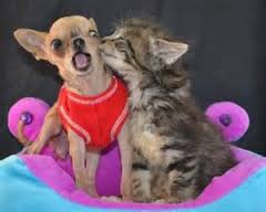 Name:  images (13).jpg
Views: 382
Size:  6.3 KB