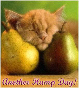 Name:  hump-day.jpg
Views: 217
Size:  18.7 KB