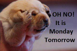 Name:  oh-no-it-is-monday-tomorrow.jpg
Views: 3689
Size:  14.5 KB