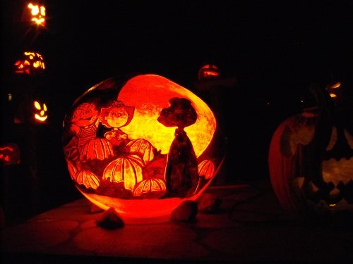 Name:  rhode-island-pumpkins-display-0.jpg
Views: 206
Size:  23.5 KB