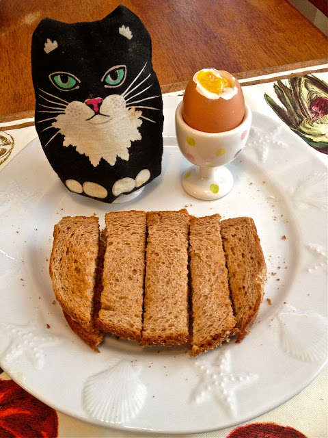 Name:  breakfast with kitty.jpg
Views: 259
Size:  53.9 KB