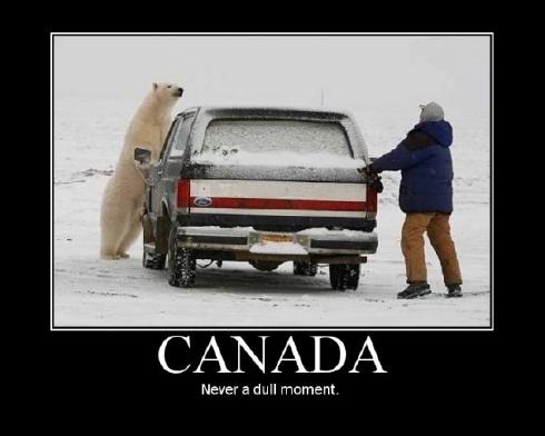 Name:  Funny-Canada-Snow-And-Cold-3.jpg
Views: 4517
Size:  23.4 KB