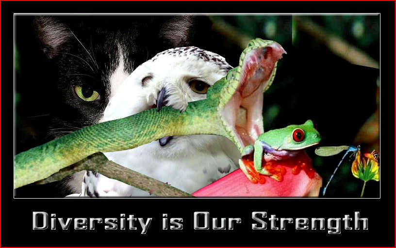 Name:  Diversity_Strength.jpg
Views: 187
Size:  59.9 KB