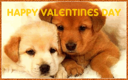 Name:  valentines-puppies.gif
Views: 557
Size:  66.7 KB