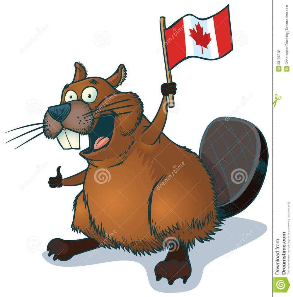 Name:  vector-cartoon-beaver-canadian-flag-clip-art-cute-happy-waving-33197212.jpg
Views: 737
Size:  67.3 KB