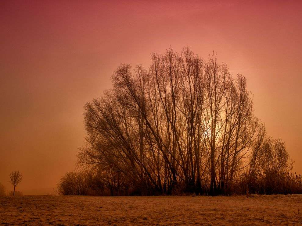 Name:  trees-fog-winter_65528_990x742.jpg
Views: 314
Size:  86.0 KB