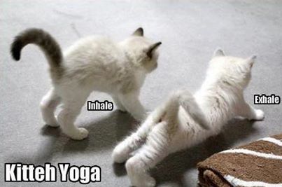 Name:  k yoga.jpg
Views: 151
Size:  19.3 KB